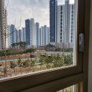 그린시티 이미지