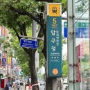 [REVIEW] 강남 압구정 "D의원" 하지정맥류 도플러초음파 검사 후기