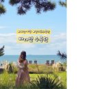 태안도서관2층 | 태안 바다 옆 천리포수목원 입장료 10월 가볼만한곳