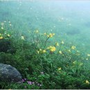 사계절풍경 이미지