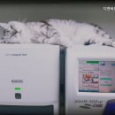 디엔씨동물병원 - 고양시 덕양구 중앙로 550 | 디엔씨동물병원