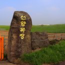 선양 목장 이미지