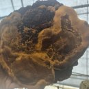 인지농장 이미지