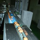 채선농장 이미지