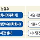 디엘케미칼 주식회사 한국경제
