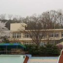 광성초등학교 이미지