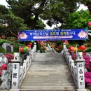흥륜사 Daum카페
