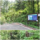 제일견인보관소 이미지