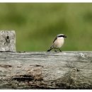 성원행정사 사무소 이미지