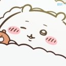 크림스테이지 이미지