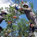 장수읍안양마을로 이미지