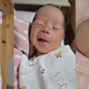 세쌍둥이네 이미지