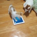 보련농장 이미지