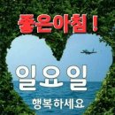 청송이사과