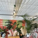 위드벅스 | 충남 아기랑 겨울 실내 나들이! 홍성 위드벅스 곤충체험 후기