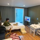 고성 애견펜션, 멍스테이 비수기 54,000원 203호 후기