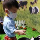 주호 농장 이미지