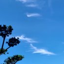 하늘