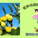 홍일농장 이미지