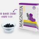 닥터레이