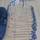 큐덴트 Daum카페