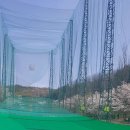 안동골프연습장 | 골프레슨 그린골프실외연습장.골프존 스크린골프 연습장 안동 남선면 가격 위치 주소 주차 후기 추천