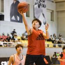 드레포스