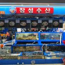 장성 | 가락시장 방어 맛집 장성수산 | 장성 오마카세 후기