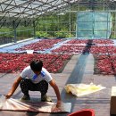 개운좋은농장 이미지