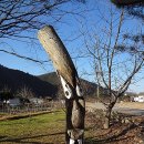 장승나라 소도 이미지