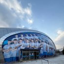 계양경기장  아시아드양궁장 | 카드 vs 대한항공 배구 경기 직관 “경기코트 이렇게 가까웠다고?” 인천 계양체육관 D-3열 배구 직관 후기