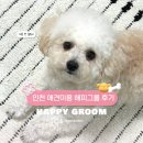 인주대로 | 인천 애견미용 애견카페 해피훈트 내돈내산 후기 | HAPPY GROOM