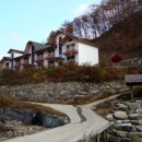 용추자연휴양림(함양) 이미지