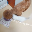아이디얼푸드 이미지