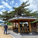 효석문학100리길 제3구간 이미지