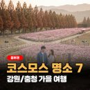 지에스25홍천강변점 | 중부권 코스모스 명소 베스트 5, 강원·충청 가을 여행지 추천