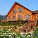 그림같은 집 이미지