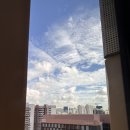 올드 트리 이미지