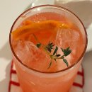 마론애견 | 마산 합성동 애견동반 카페 보우트