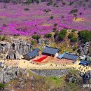 비슬산휴양림캠핑장관리사무소 이미지