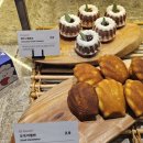 오션비치 | 속초 고성 여행 필수코스 오하스 베이커리카페 켄싱턴리조트 설악비치점 오션뷰 후기