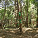 하례2리농촌체험휴양마을 이미지