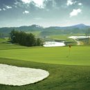 타니스테이 이미지