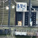 GTR바이크 | 제주도 바이크 기변
