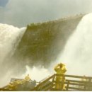 아름답개 이미지