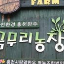 금무리농장 이미지