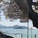 바바라 발리 이미지