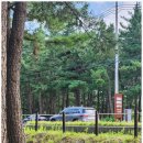 베일리하우스애견펜션 이미지