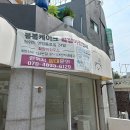 봄케이크