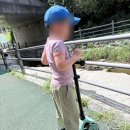 라이드 | 유아 킥보드 추천! 3년 넘게 사용한 스쿳앤라이드 솔직 후기